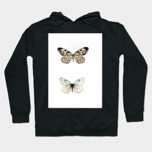 white butterfly butterflies natural history specimen insect, botanical graphic poster print Hoodie